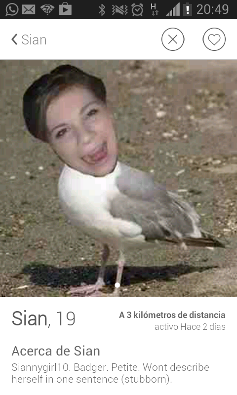 Being a pigeon is one thing; being a seagull...