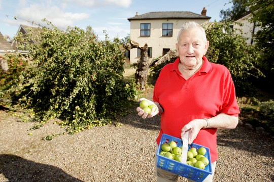 SWNS_APPLE_TREE_SPLIT_200034814