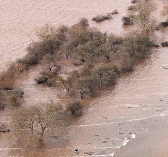SWNS_CIDER_FLOOD_02