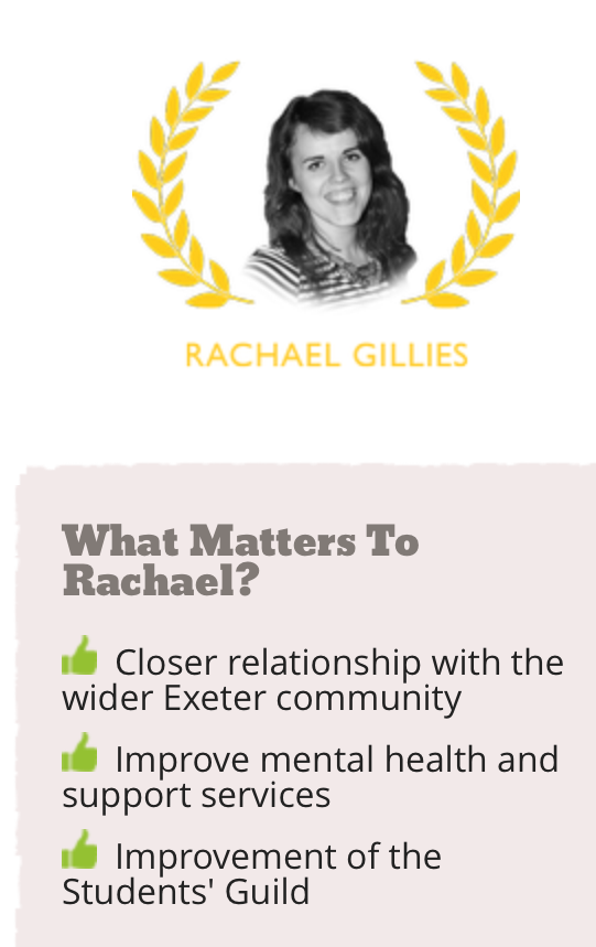Would you rather a profile like this than the traditional leaflet extravaganza?