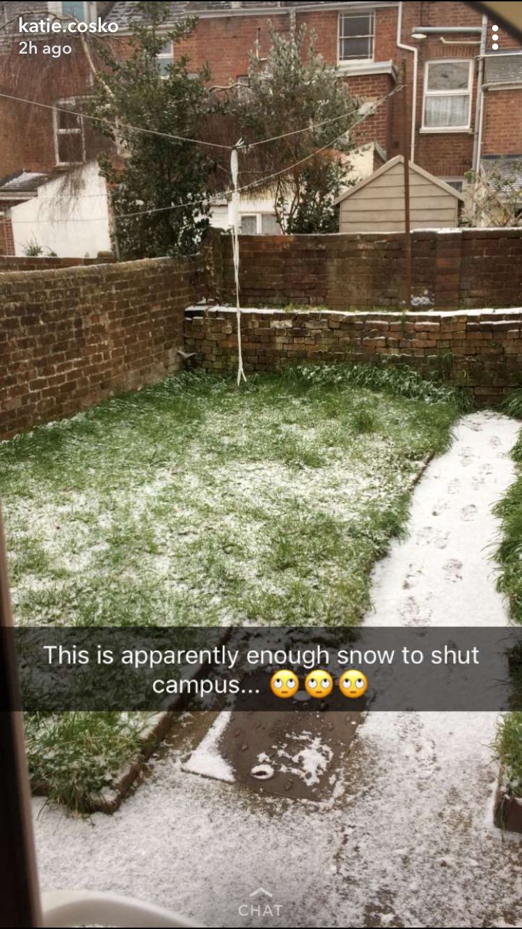 Image may contain: Backyard, Yard, Outdoors
