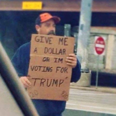 Someone give this man a dollar!