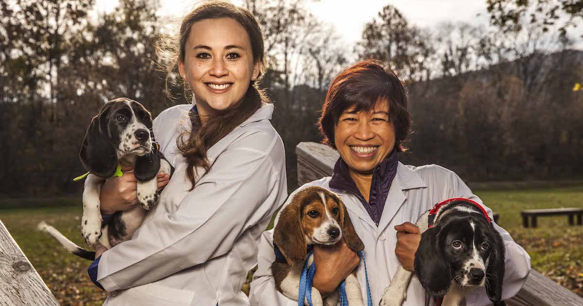 Meet the world's first IVF puppies, courtesy of Cornell