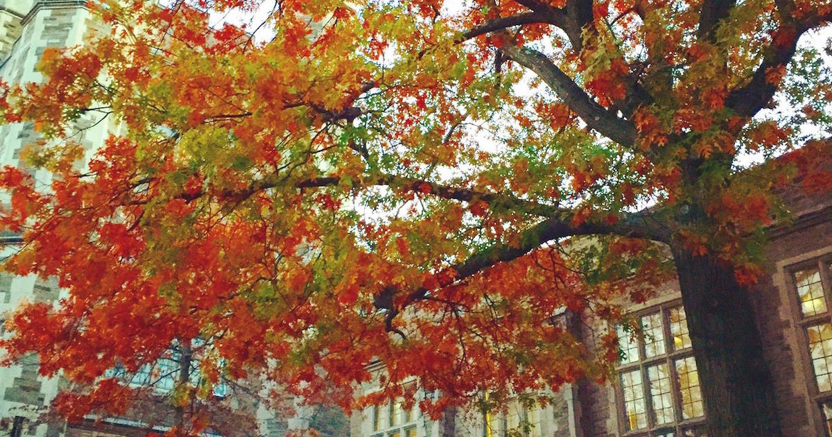 Princeton requires one of the highest average GPAs in the nation