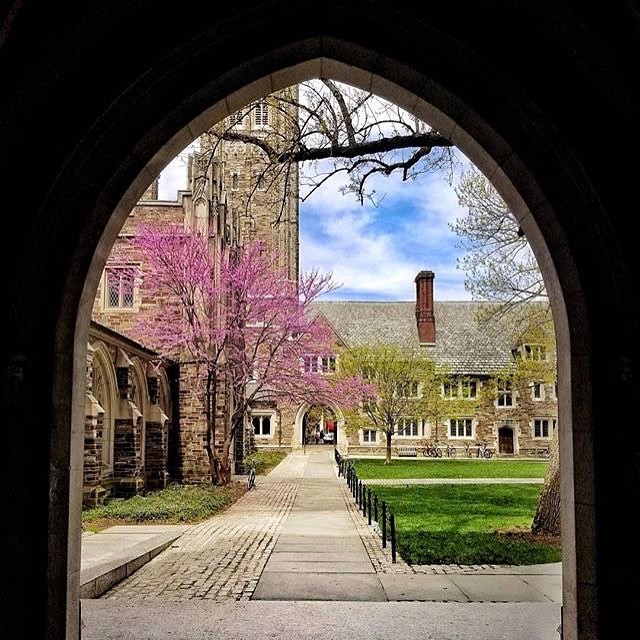 Princeton beats Yale and Cornell again in new university rankings