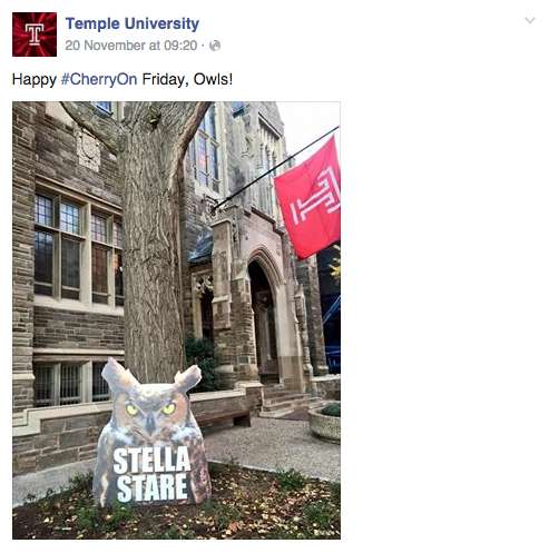 A poster of Stella the Owl stares students down in Liacouras Walk.