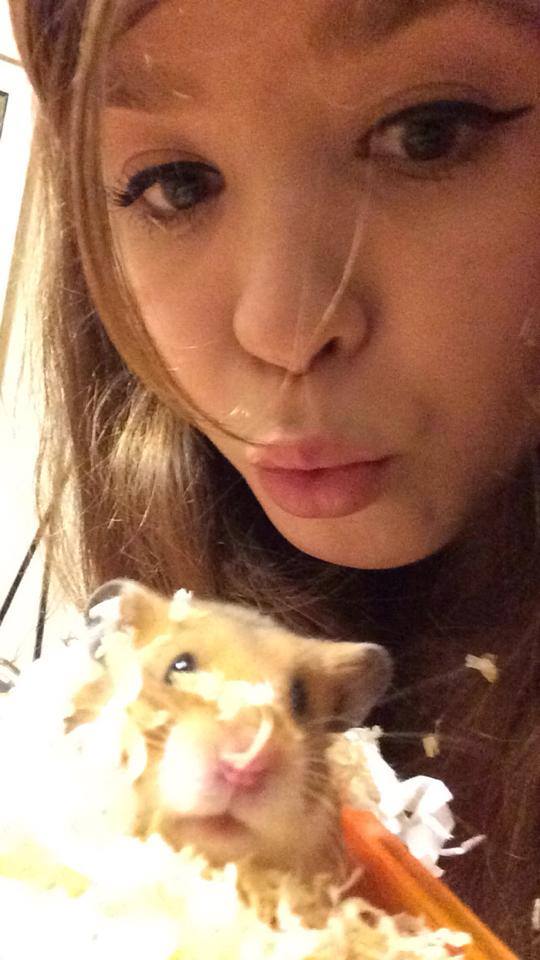flohamster1