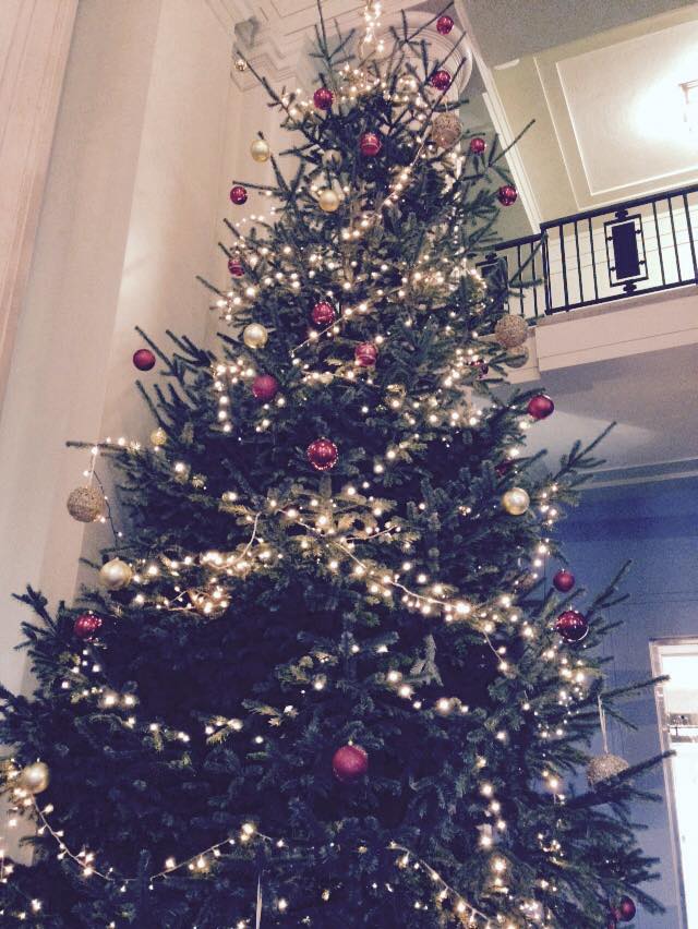 Tree-mendous