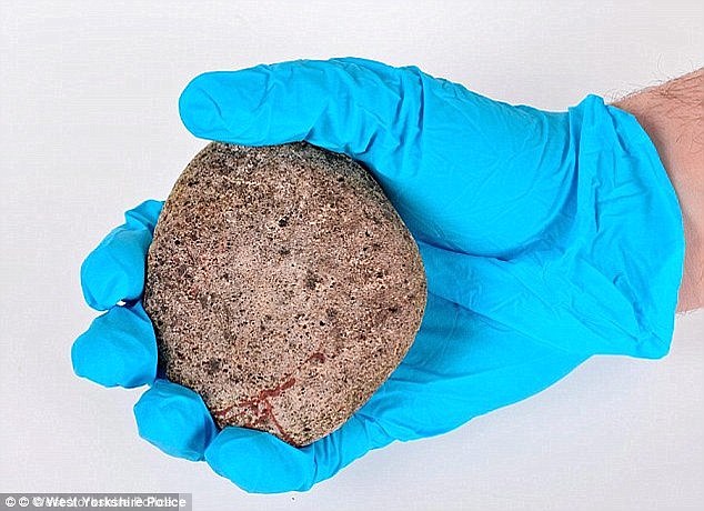The rock used to hit the victim unconscious