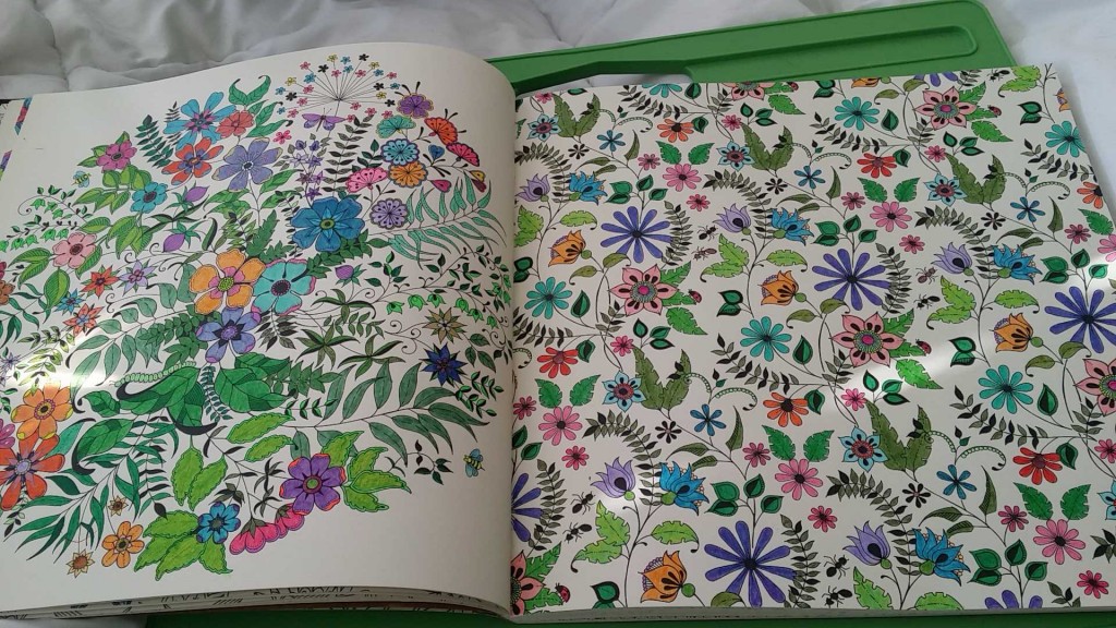 Colored from Secret Garden Coloring Book