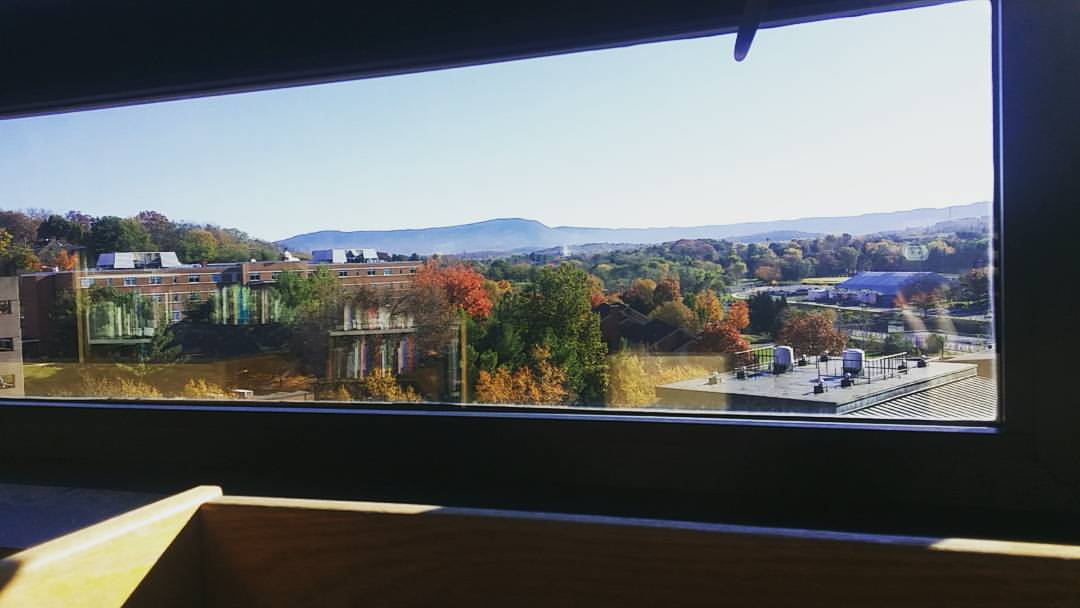 View from Carrier Library