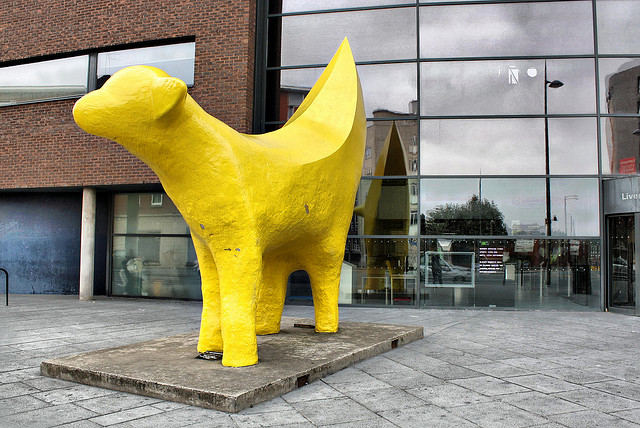 Big, yellow, different