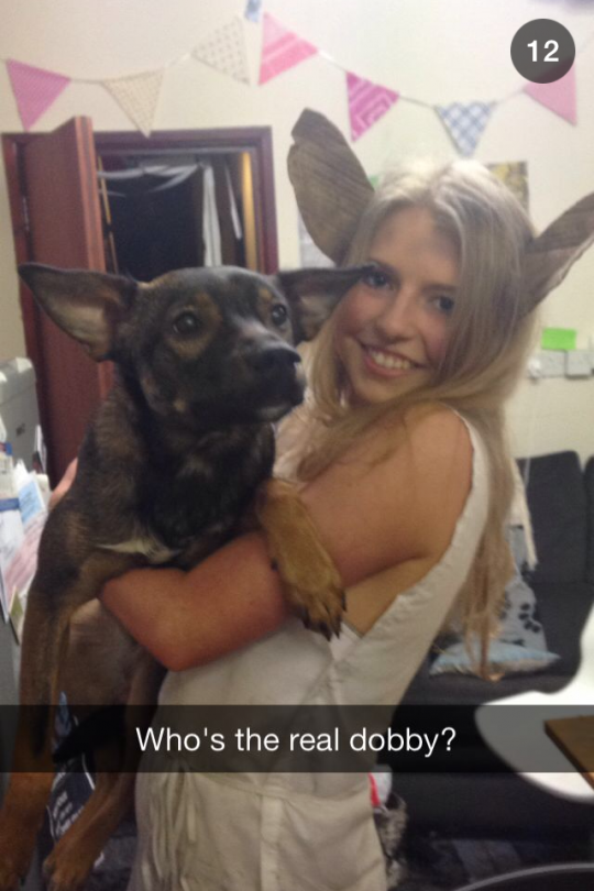 THIS DOG IS JUST TOO MUCH.