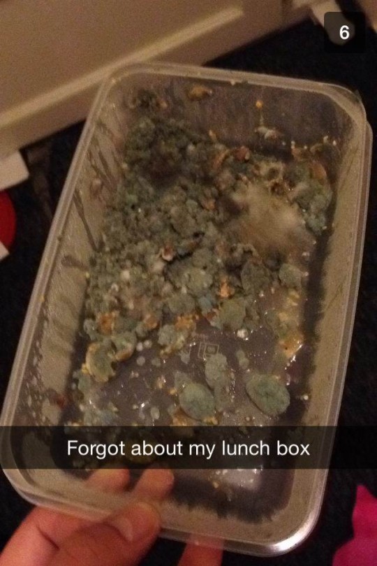 Typical student.