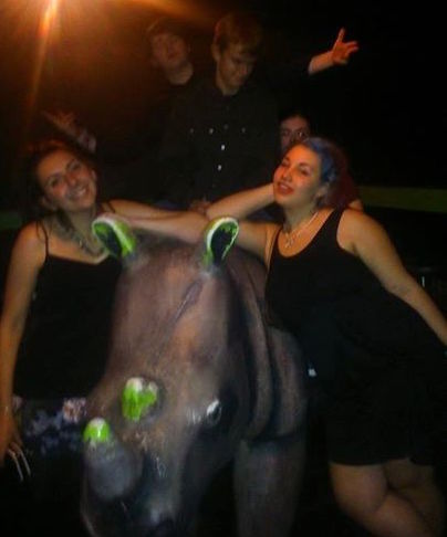Who doesn't want to ride a rhino on a night out?