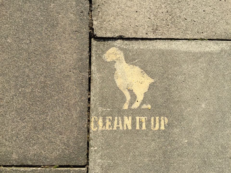 Clean your shit up