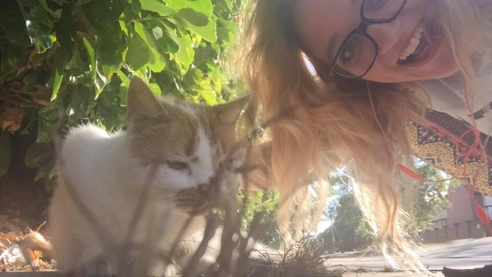 No need to harass Smithdown cats anymore.