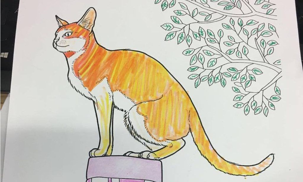 cat drawing sj