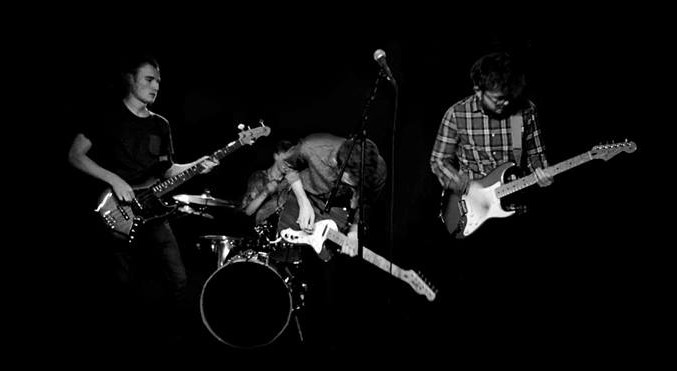 The Swearwolves