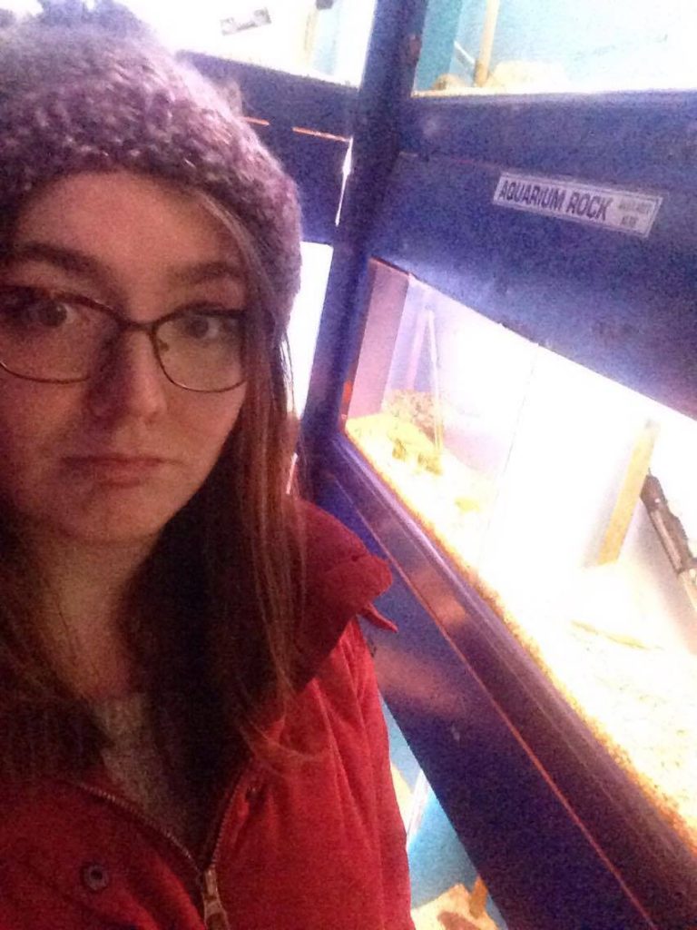 smithdown aquarium