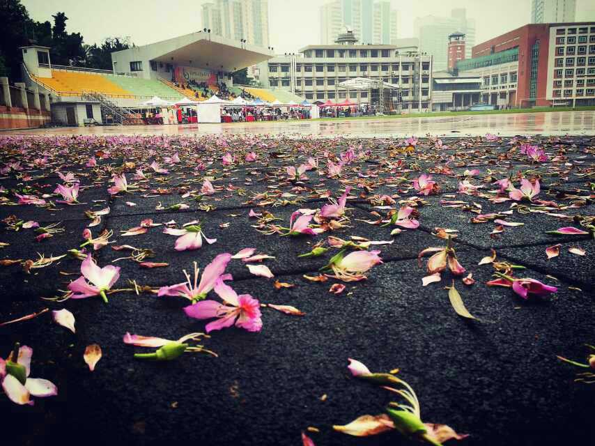 Flowers are all over my high school every spring.