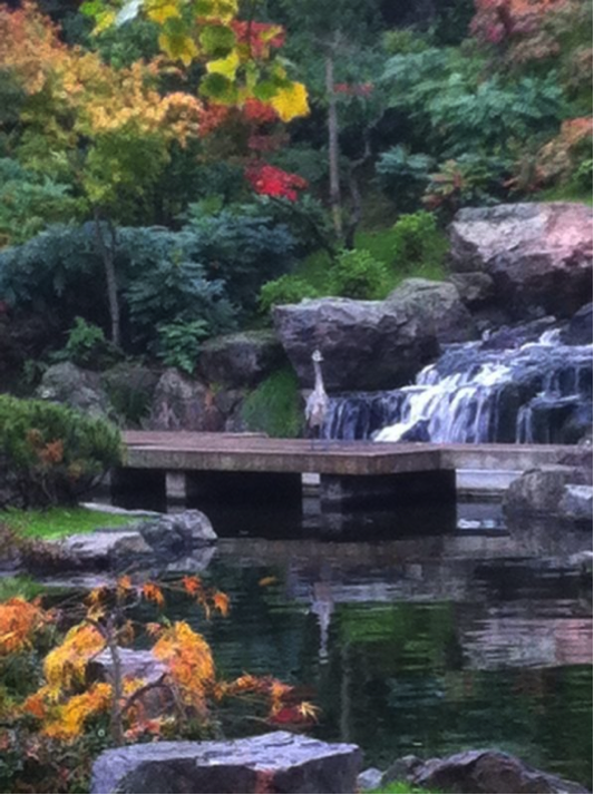 In the Kyoto Garden, everyone can walk on the bridge