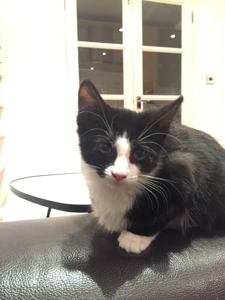 Milo: "Paint me like one of your French girls Jack"