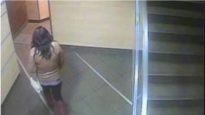 CCTV footage captured the woman entering the toilet