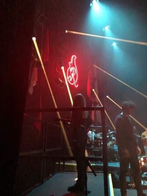 Image may contain: Musical Instrument, Musician, Rock Concert, Concert, Crowd, Person, Human