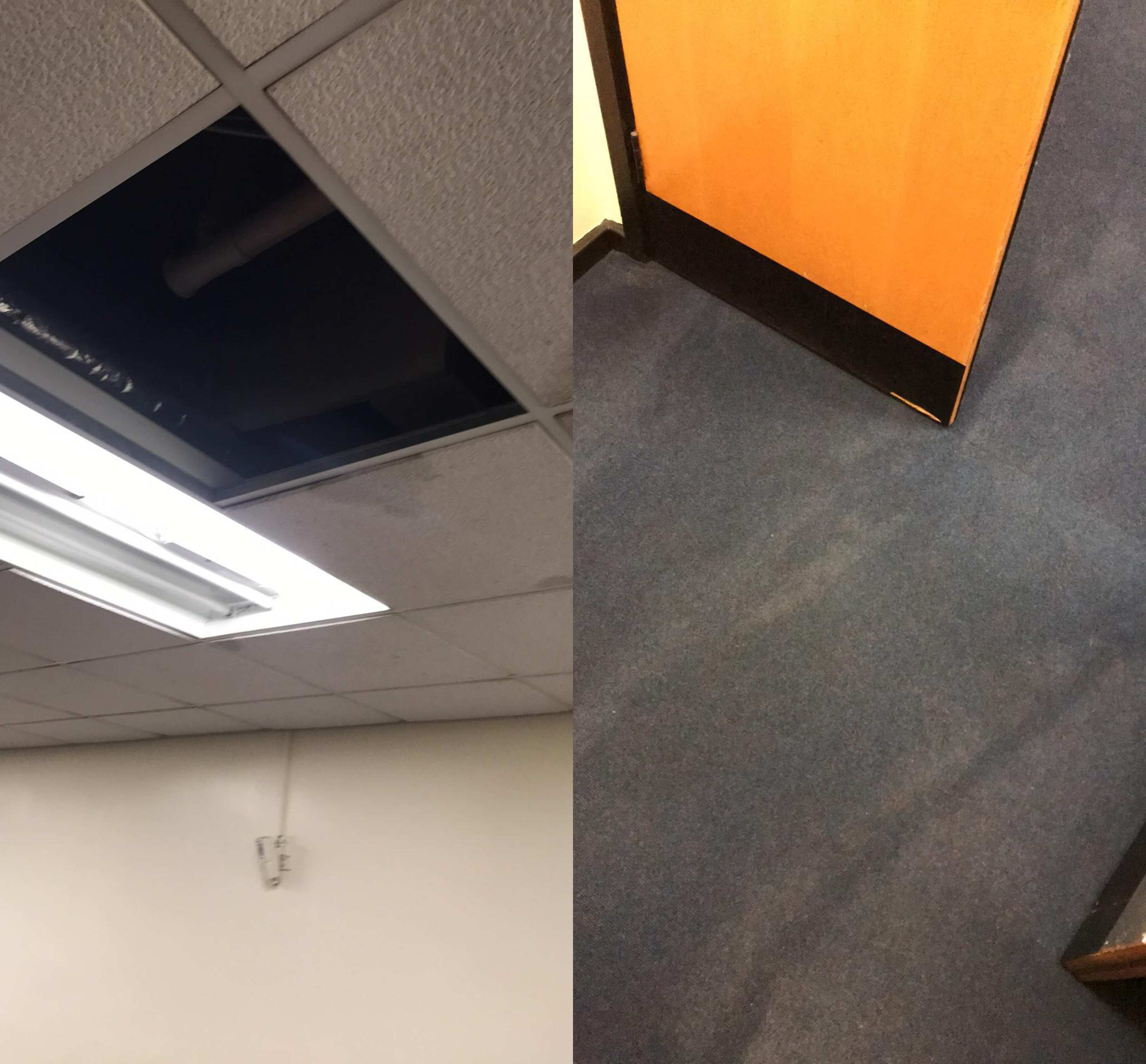 Image may contain: Wood, Floor, Flooring