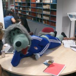 The Wessex Wolf studying hard in Hartley