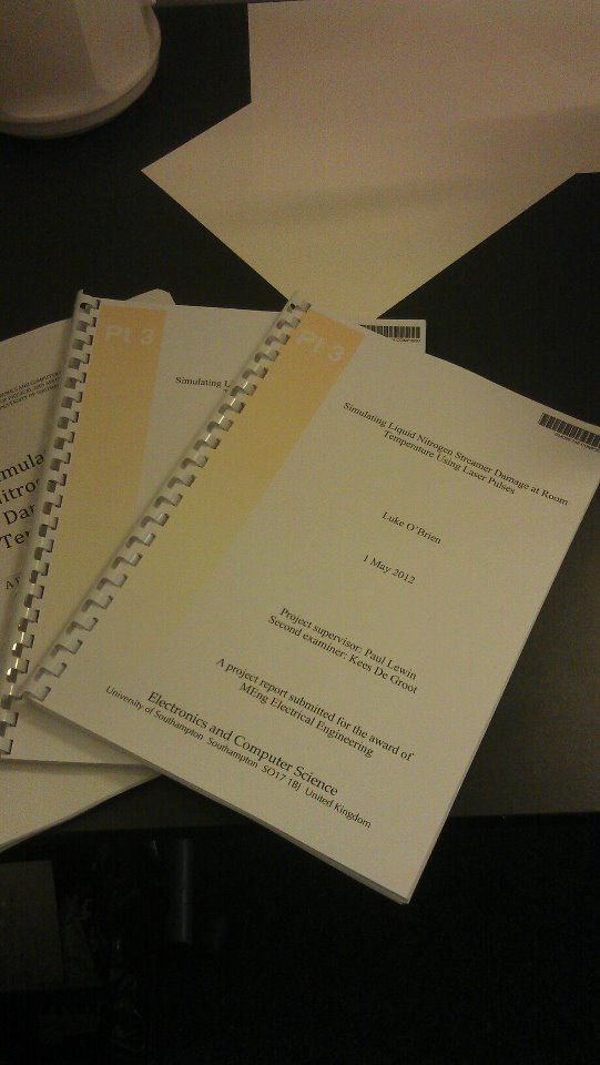 dissertation published work