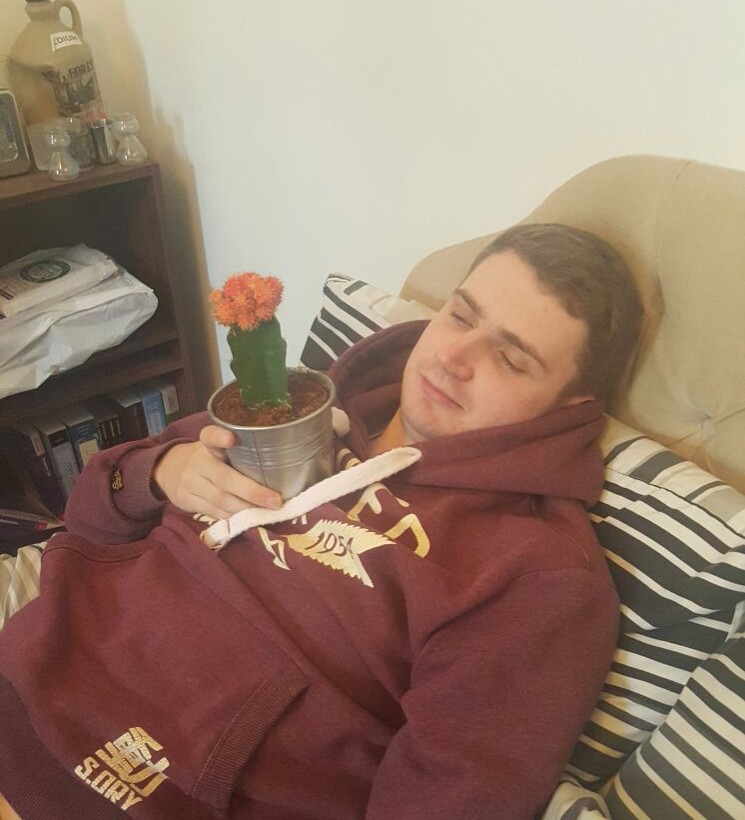 A happy cactus and a sad person