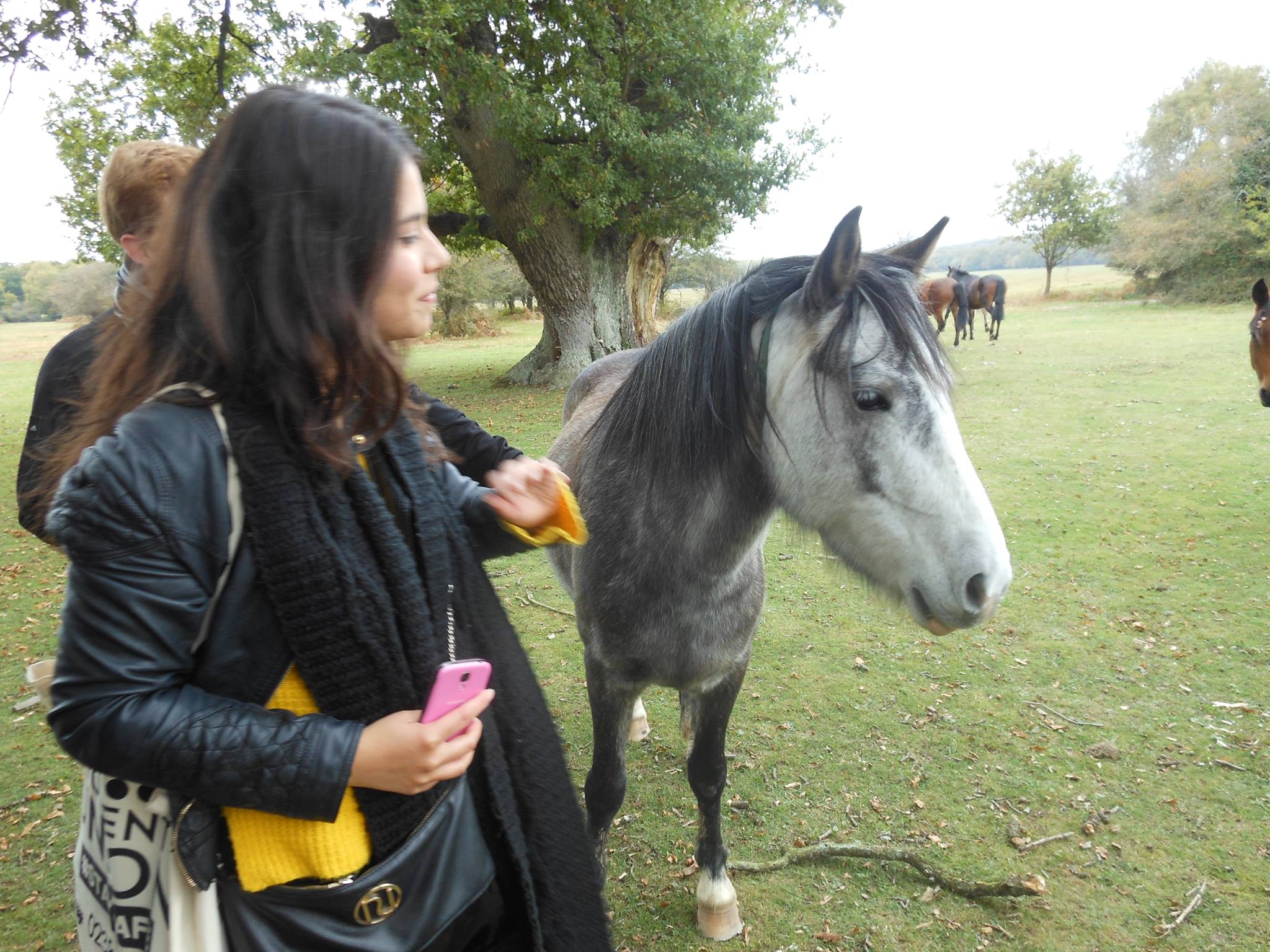 New Forest - Erasmus students love ponies.