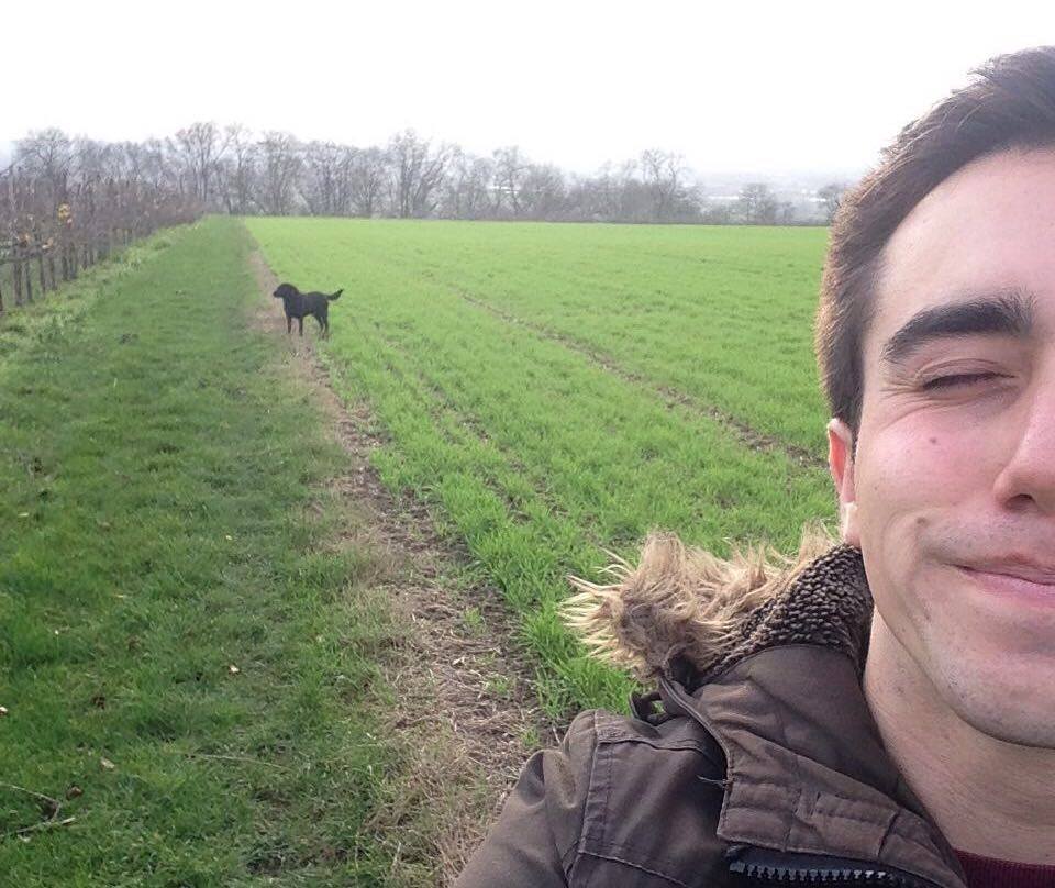 Dog Field