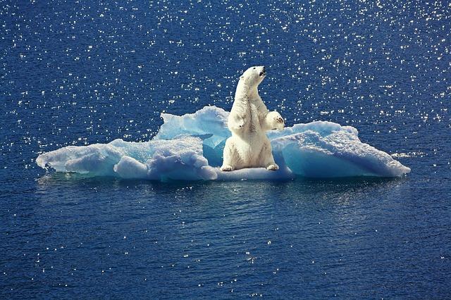 Global temperatures will continue to soar if climate change deniers are held level with the scientific community.
