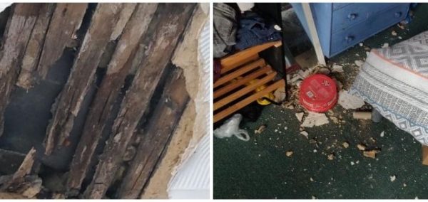 Image may contain: Mold