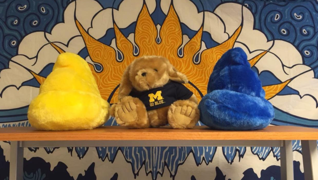 High School Seniors Here S Why You Should Commit To Umich
