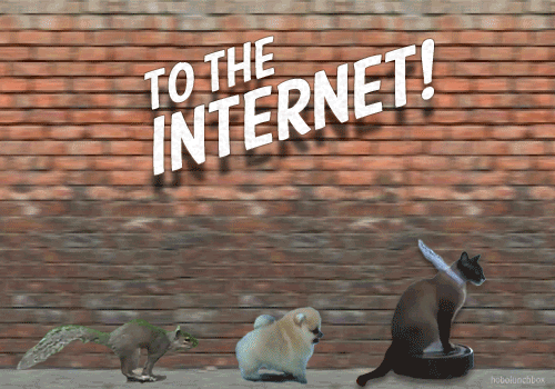 internet