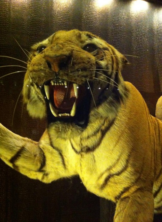 Grrrrr
