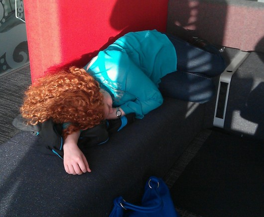 Not a bad place for a snooze either