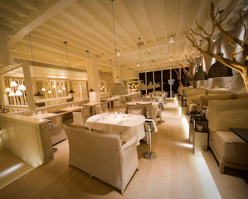 australasia-tree