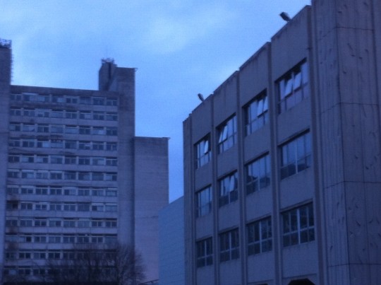North Campus 2