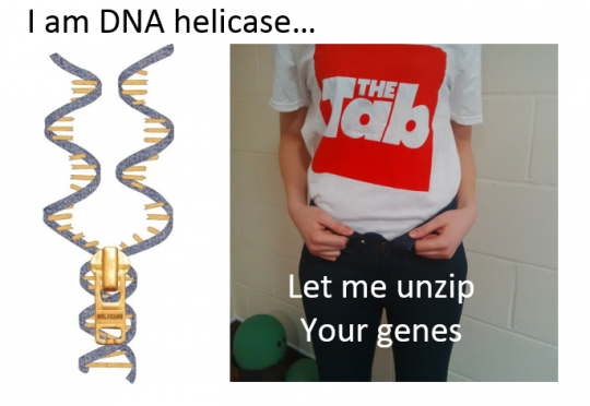 It's simple Biology...