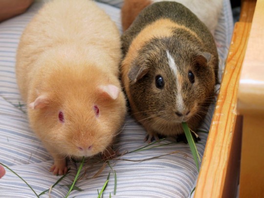 Bro, what happened last night? We woke up in a hedge