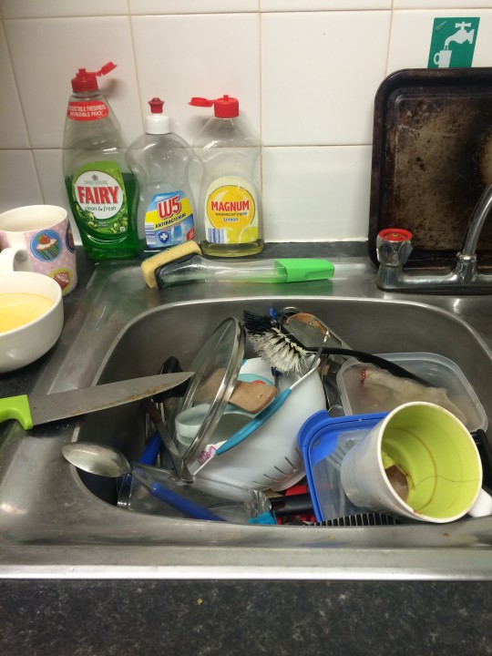 They clean themselves, right?