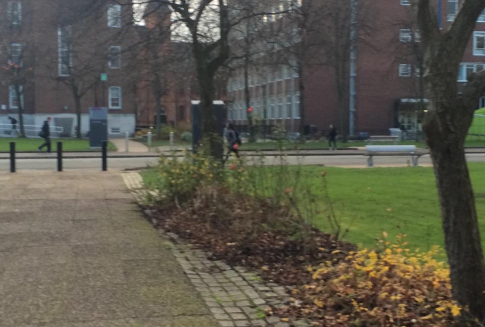 Hannah was on her way to a lecture in Roscoe this morning
