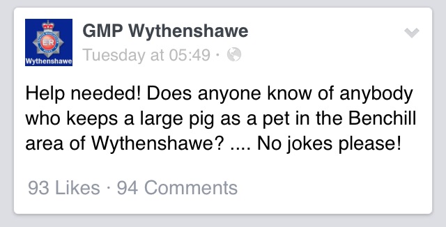 GMP Wythenshawe's first post for help hog-tying the escapee.