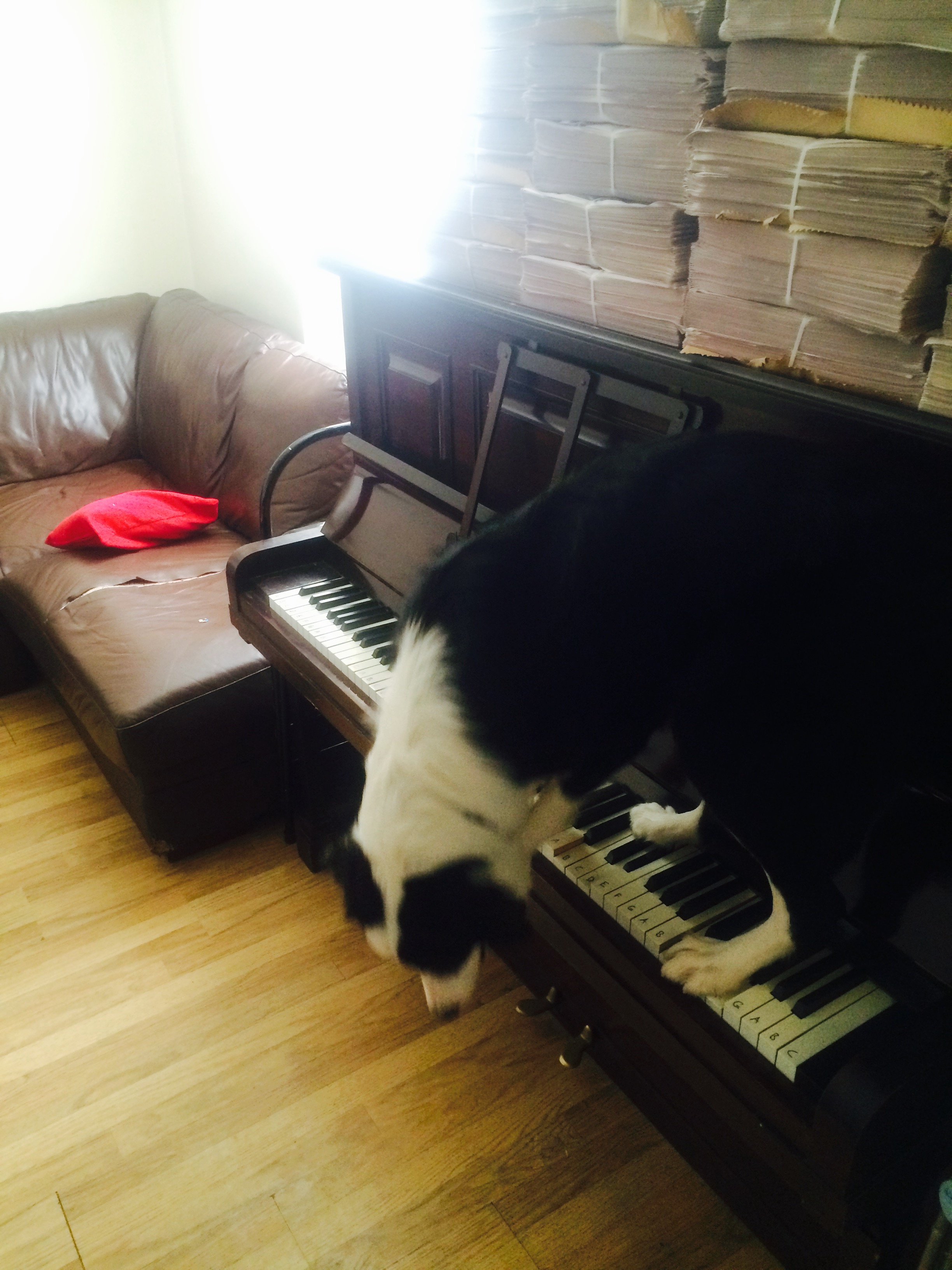 Play us a tune