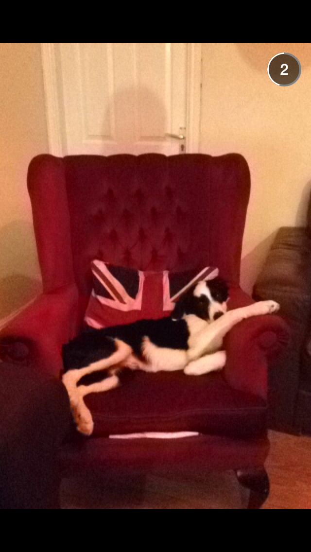 In his fave chair